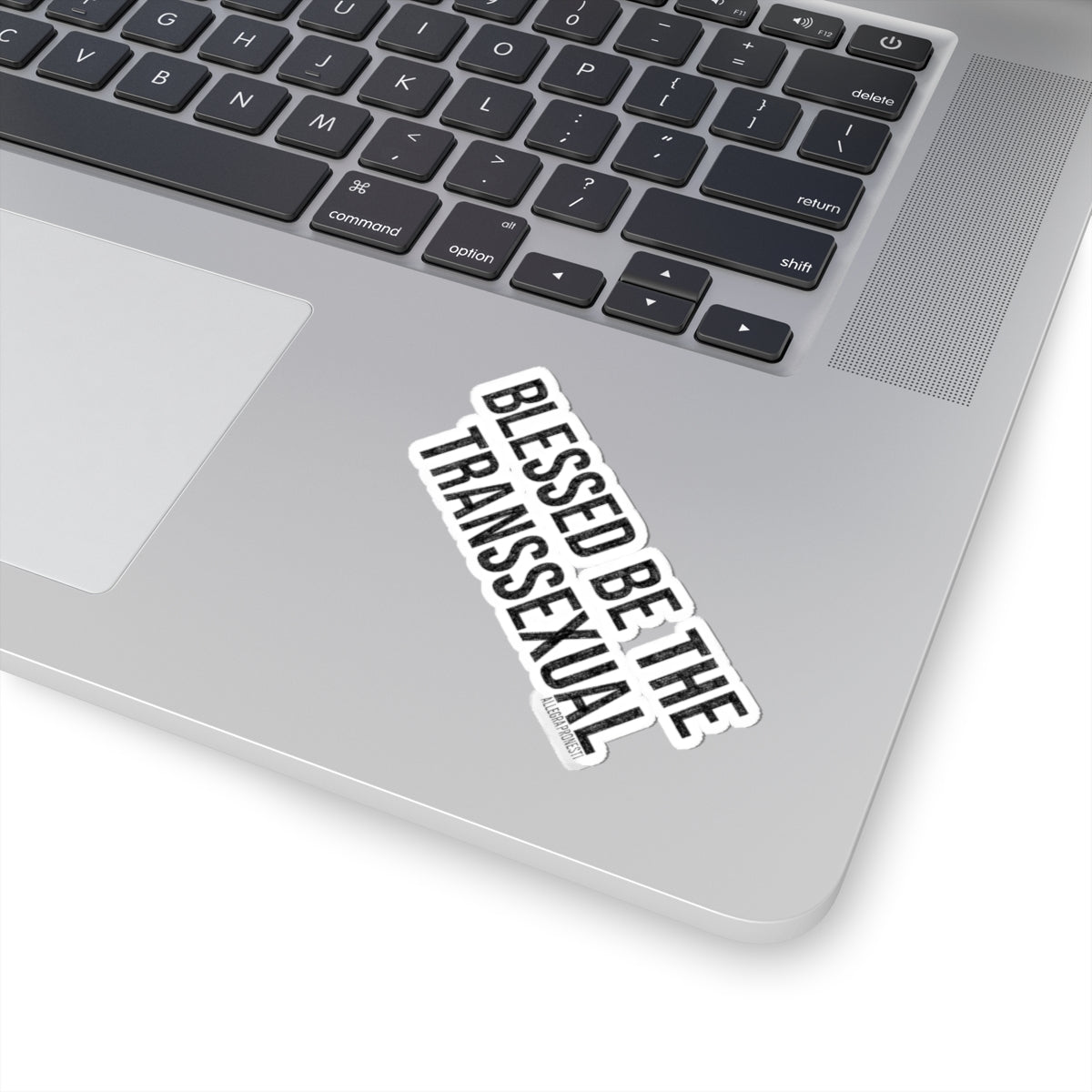 Blessed Be the Transsexual Sticker
