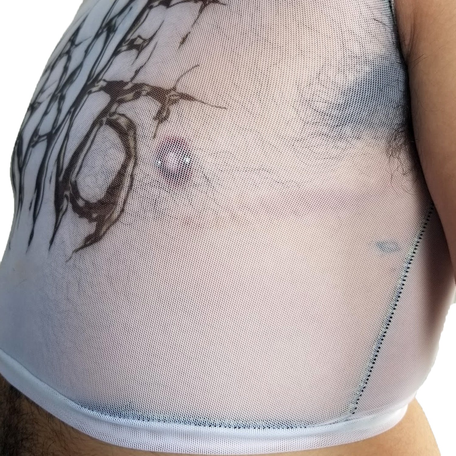 Fake Trans Mesh Crop Top