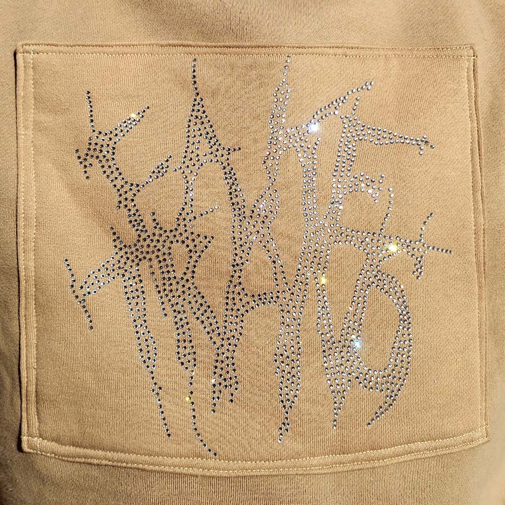 Fake Trans Rhinestone Crop Hoodie